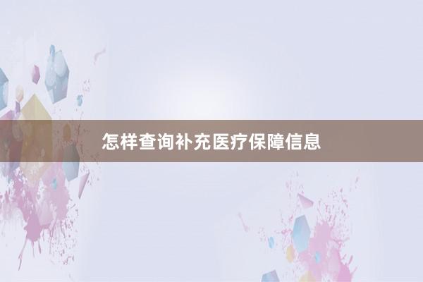 怎样查询补充医疗保障信息