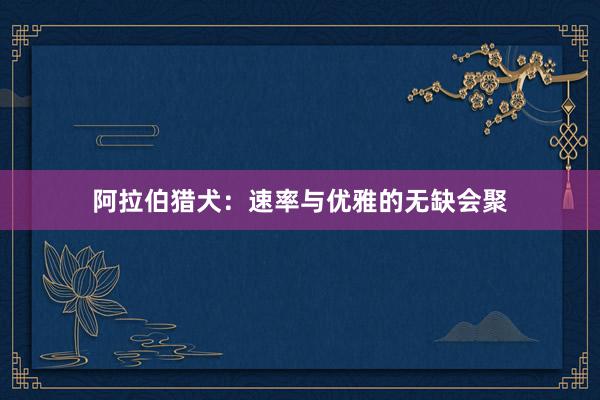 阿拉伯猎犬：速率与优雅的无缺会聚